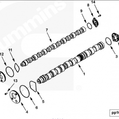 3104279 camshaft qsx15 engine parts