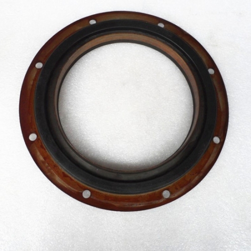 Usa 3096478 3804703 qsk19 engine oil seal