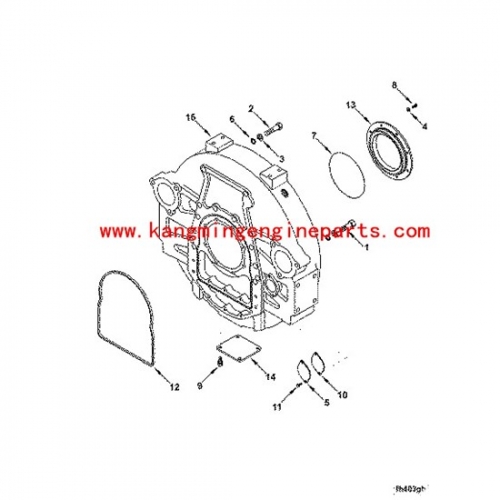 USA engine parts 4922217 Oil Seal QSK19