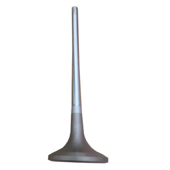 4065481 exhaust valve