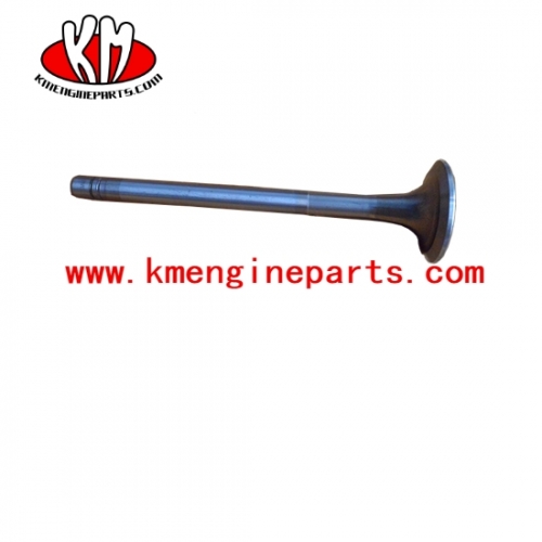 Usa 3803660 qsn14 n14 engine intake valve