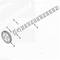 Chongqing camshaft 3028960 KTA19 engine parts