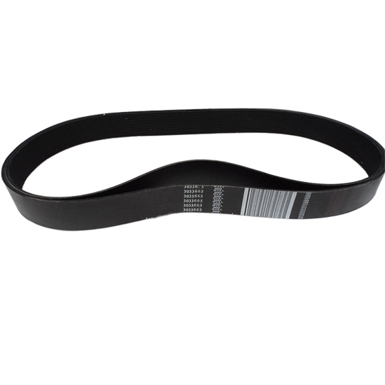 3033665 v ribbed belt