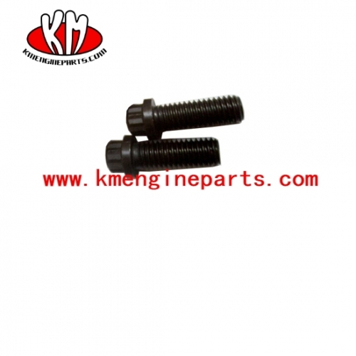 Ccec 206326 kta19 engine screw twelve point cap