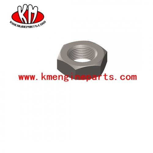 KTA38 regular hexagon jam nut 3030993 engine parts