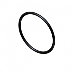 3007759 o ring seal KTA19 NTA855 engine parts