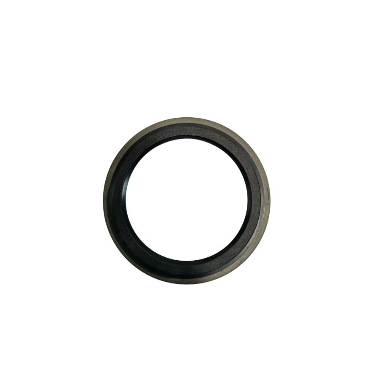 Oil Seal 4096669 4096670